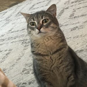 Meet your Posher, Delaney